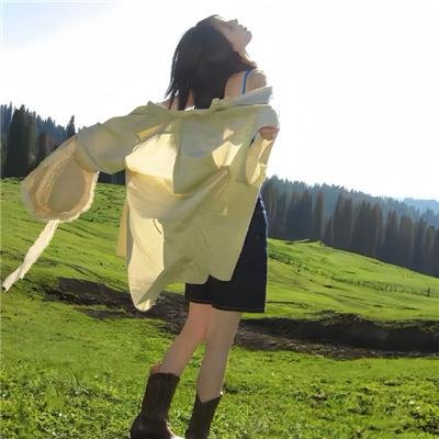 攻壳机动队第二季